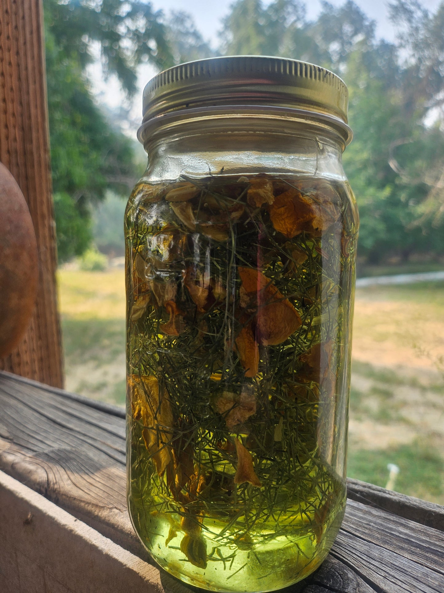 Horsetail & Pumpkin Artisan Bar